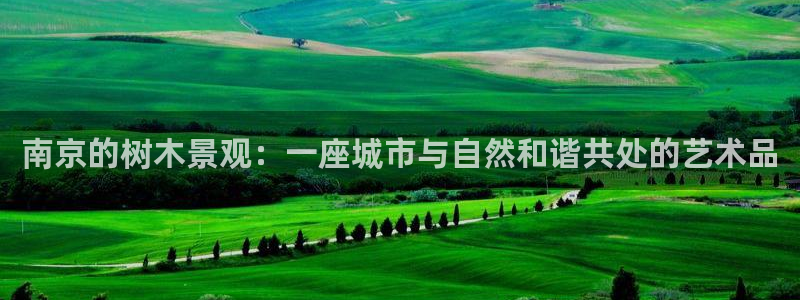 新宝gg娱乐怎么样