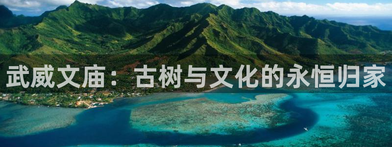 新宝gg刷流水